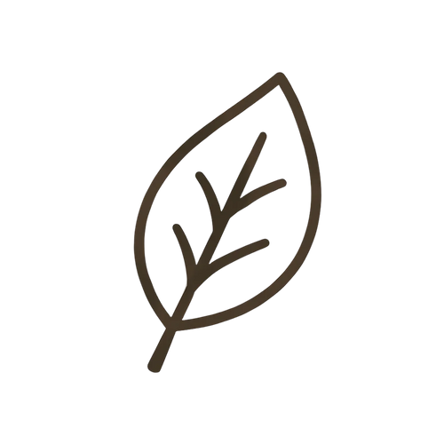 icon_policy